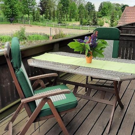 Schoenermarker Pferdeparadies Niederlandin Екстер'єр фото